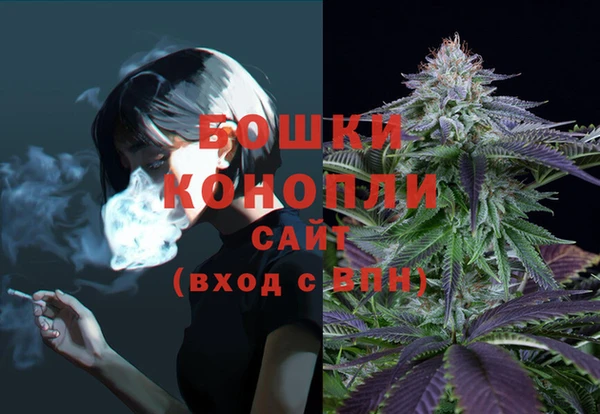 сатива Абинск