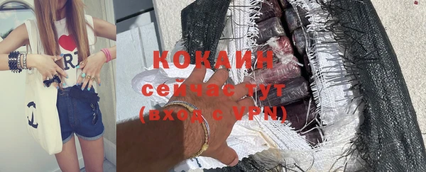 сатива Абинск