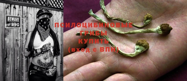 сатива Абинск