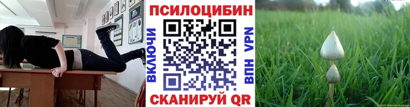закладки  hydra ССЫЛКА  Псилоцибиновые грибы ЛСД  Мосальск 